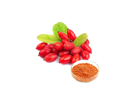 Extrato de Gojiberry