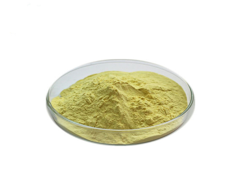 Extrato de raiz de calota craniana Baical / extrato de Scutellaria Baicalensis Georgi