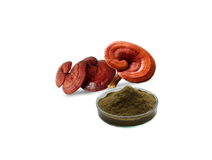 Extrato Orgânico de Reishi / Extrato de Reishi