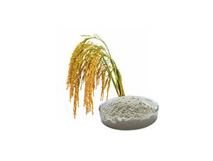 Extrato de Farelo de Arroz