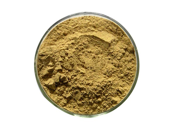 Extrato de Ashwagandha