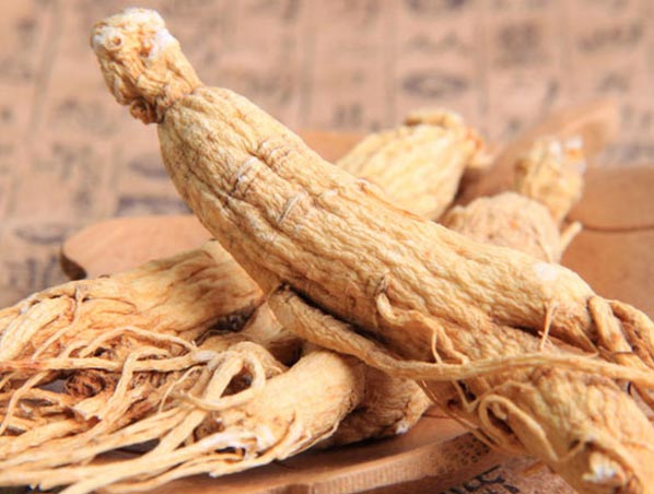 Extrato de Ginseng