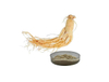 Extrato de Ginseng