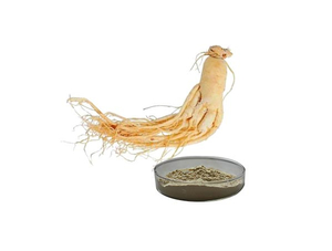 Extrato de Ginseng