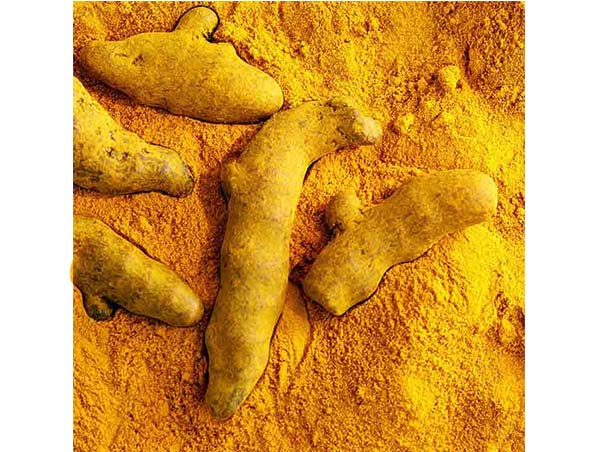 Extrato de Curcuma Orgânico