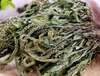 Extrato de Erva Plantago
