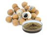 Extrato de Longan