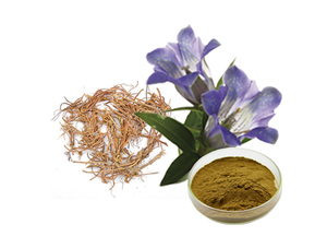 Extrato de Raiz de Genciana