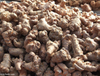 Extrato de raiz de Panax Notoginseng