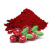 Extrato de Cranberry