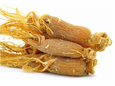 Extrato de Ginseng Vermelho da Coreia 