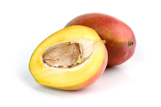 Extrato de semente de manga africana/extrato de Irvingia Gabonesis 7%-25%proteína flavona em pó 