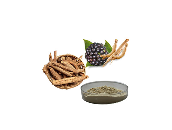 Extrato de Ginseng Siberiano