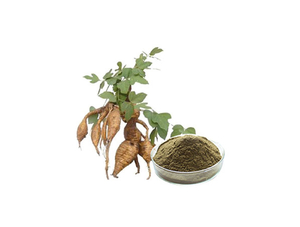 Extrato de raiz de Kudzu