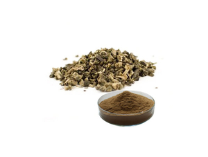 Extrato de Cohosh Preto