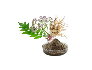 Extrato de Valeriana