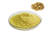 Extrato de raiz de calota craniana Baical / extrato de Scutellaria Baicalensis Georgi