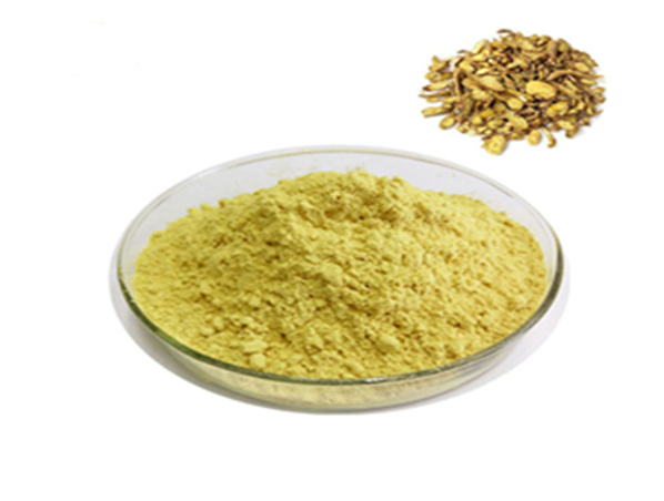 Extrato de raiz de calota craniana Baical / extrato de Scutellaria Baicalensis Georgi