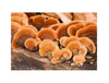Extrato Orgânico de Reishi / Extrato de Reishi