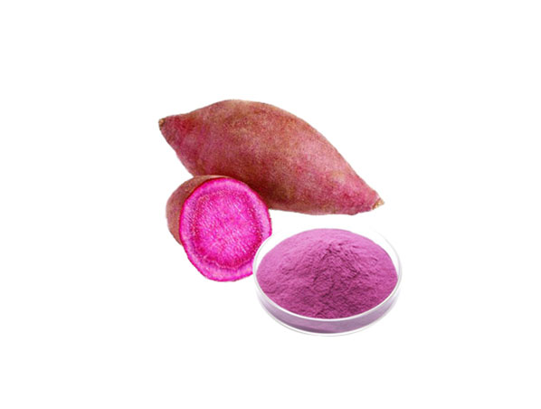 Batata Doce Roxa em Pó