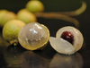 Extrato de Longan