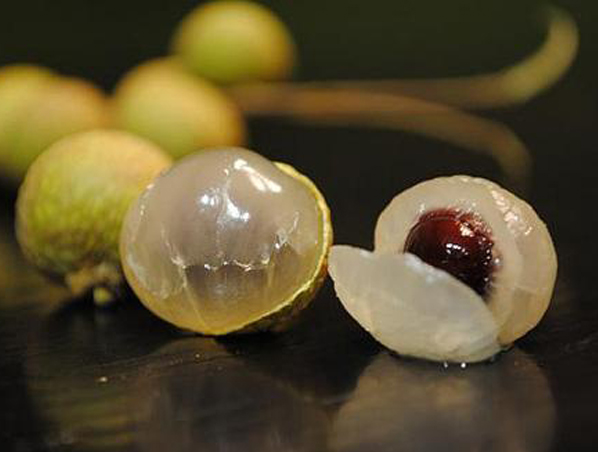 Extrato de Longan