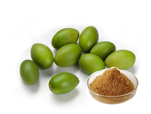 Extrato de Azeitona Branca Chinesa