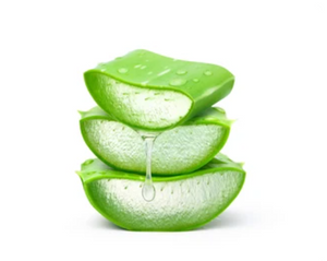 Extrato de Aloe Vera