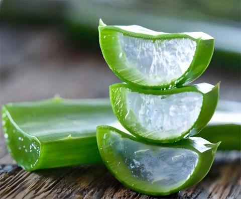 Extrato de Aloe Vera