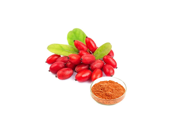 Extrato de Gojiberry