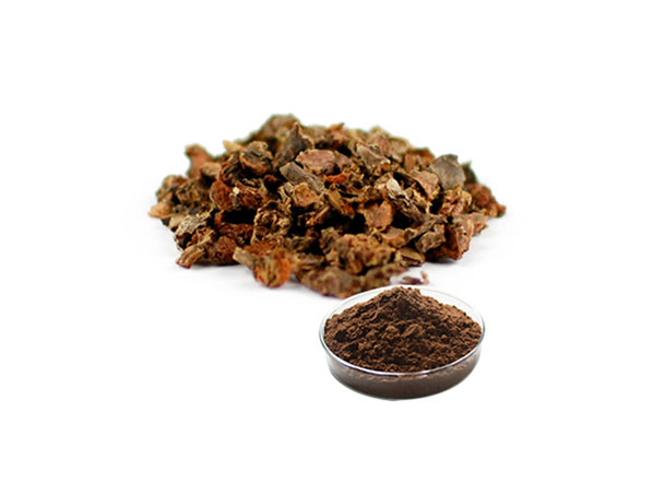 Extrato de Rhodiola/Extrato de Rhodiola Rosea
