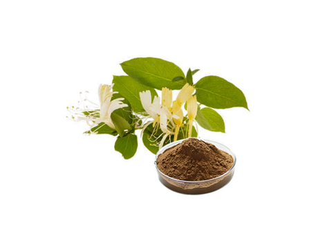 Extrato de flor de madressilva
