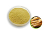 Extrato de Ginseng Americano