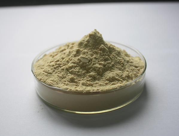 Extrato de Tongkat Ali
