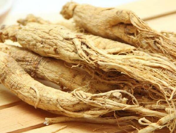 Extrato de Ginseng