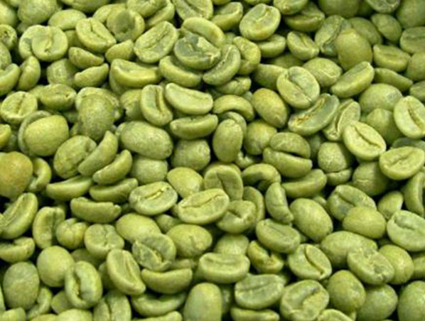 Extrato de grão de café verde