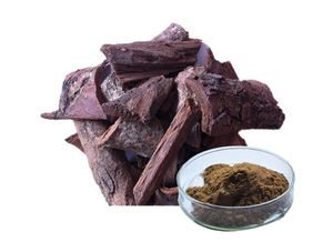 Extrato de Pygeum Africanum