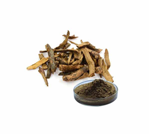 Extrato de Drynaria fortunai