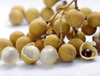 Extrato de Longan
