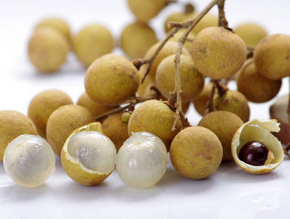 Extrato de Longan