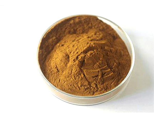 Extrato de Ocimum Sanctum