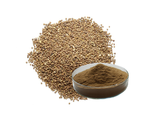 Extrato de Semente de Cuscuta