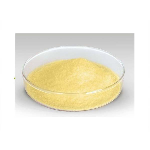 Extrato de Gengibre Orgânico