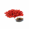 Baga de Goji em pó