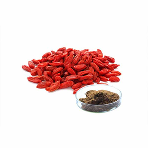 Baga de Goji em pó