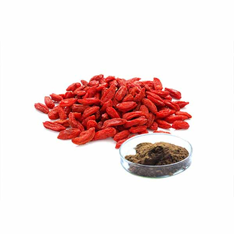 Baga de Goji em pó