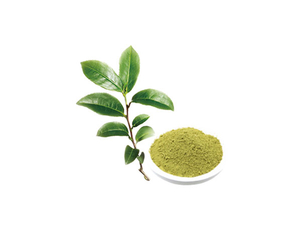 Chá Verde Instantâneo em Pó