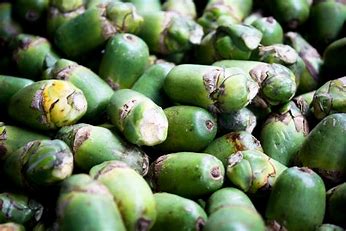 Noz de areca