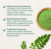 Extrato de Moringa/Folha de Moringa em Pó