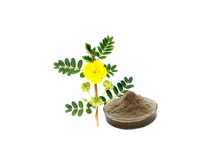 Extrato de Tribulus Terrestris